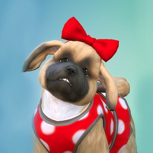 sims 4 cats and dogs free