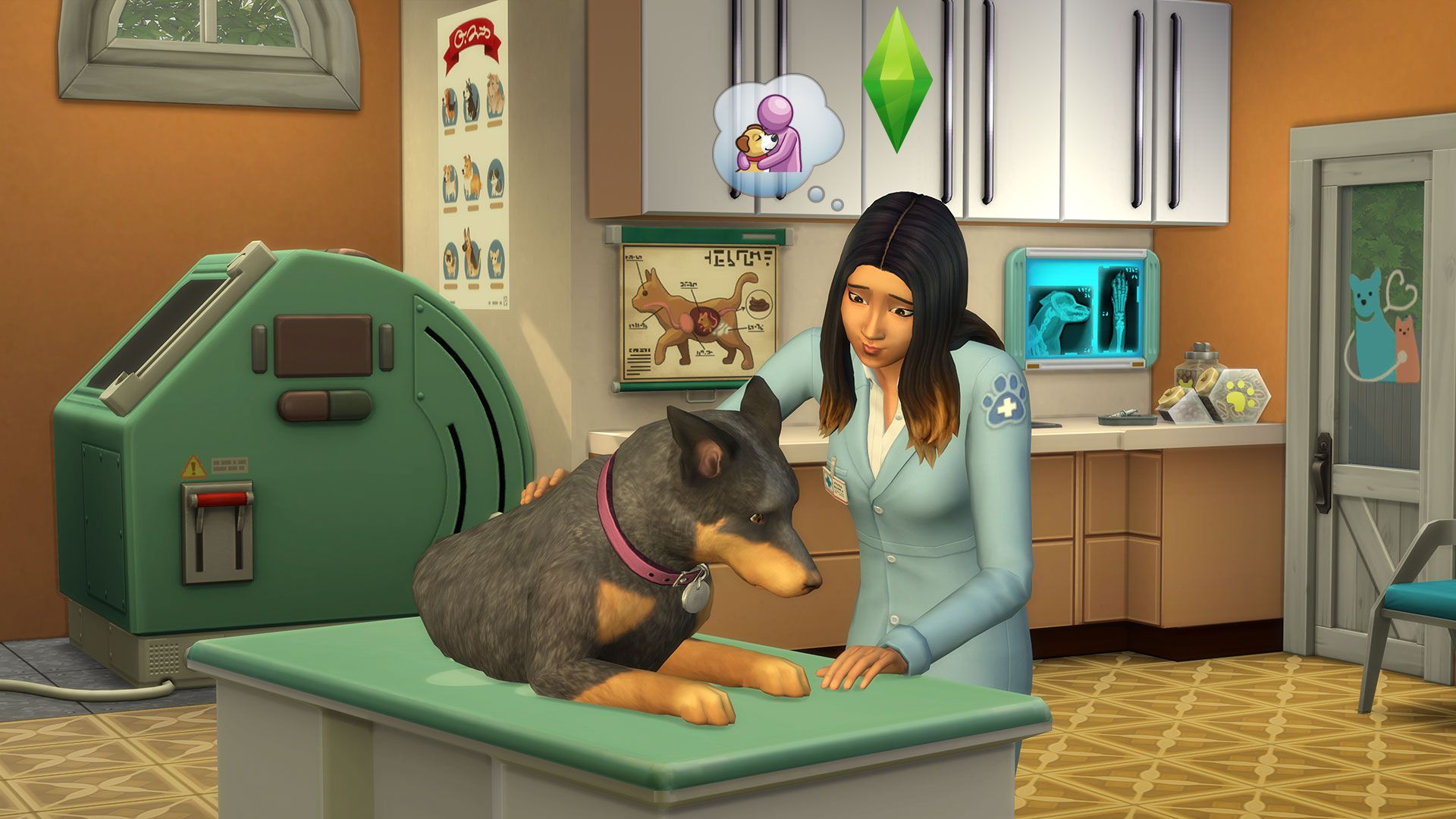 Les Sims 4 Chiens Et Chats